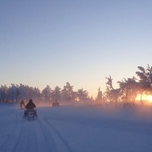 People on snowmobiles in Sweden. Bright blue sky and crisp white snow connected with a lining of silhouetted trees