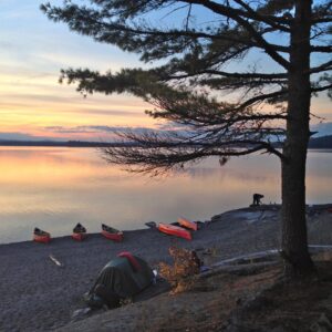 Canoes parked up on a bank next to an endless lake that is reflecting the sunset in the sky. In the foreground is a silhouetted tree.