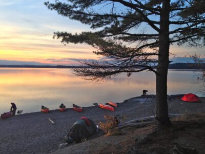 Canoes parked up on a bank next to an endless lake that is reflecting the sunset in the sky. In the foreground is a silhouetted tree.